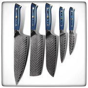 AUS-10 Damascus Steel Kitchen Knives Set