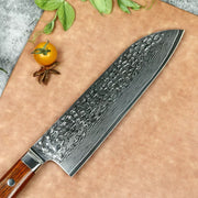 67 Layers Best Japanese Santoku Knife