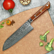 Beautiful Japanese Knife