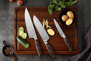 Carbon Steel Chef Knife Set