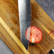 Kiritsuke Knife